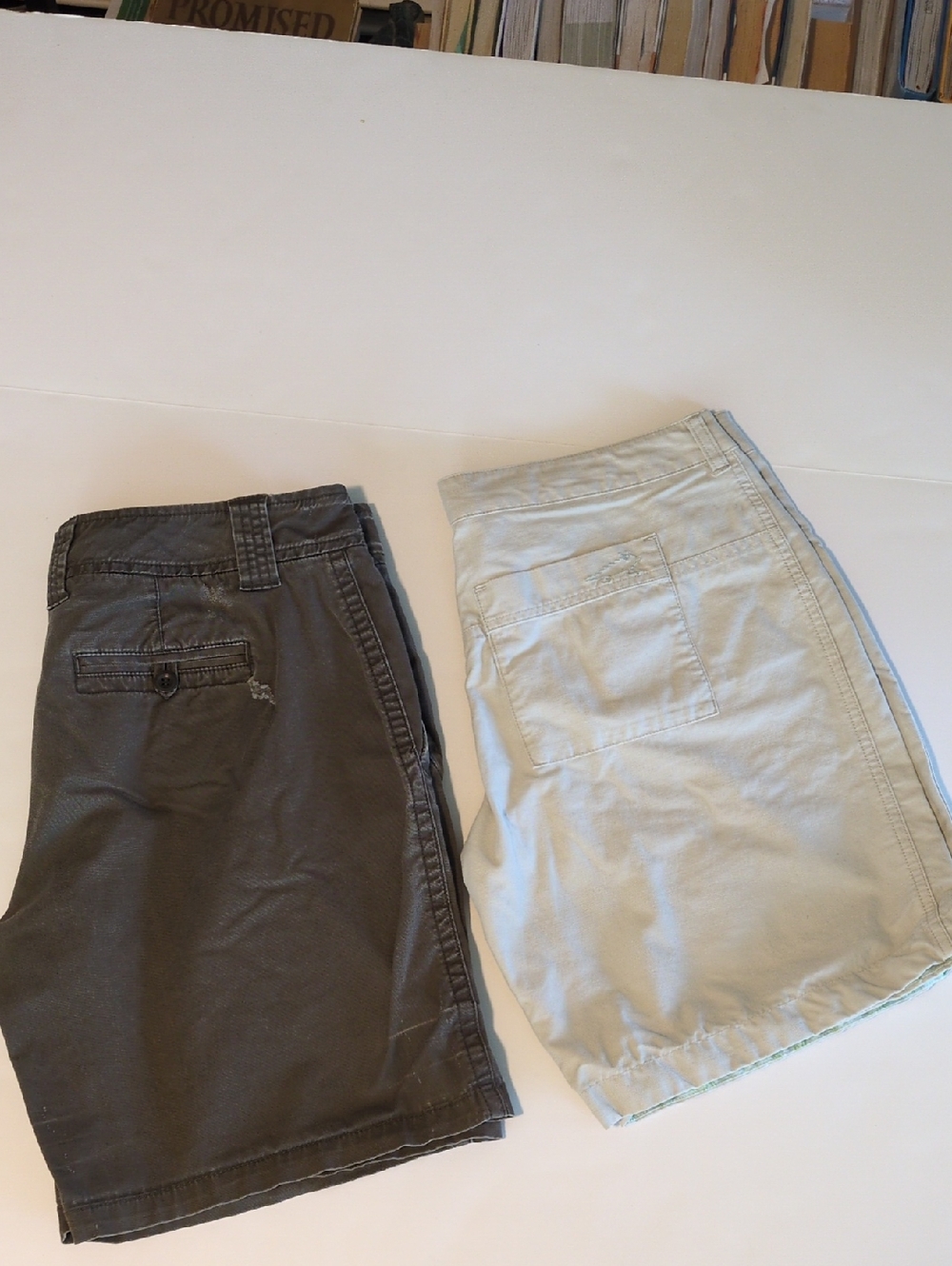 New York Co & Horny Toad sz 6 Short Bundle